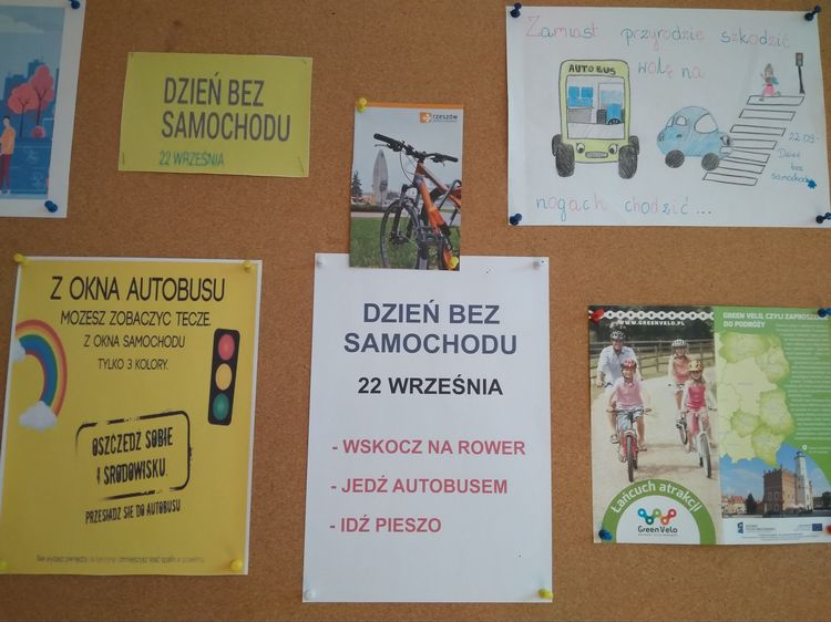 Read more about the article Akcja Dzień Bez Samochodu